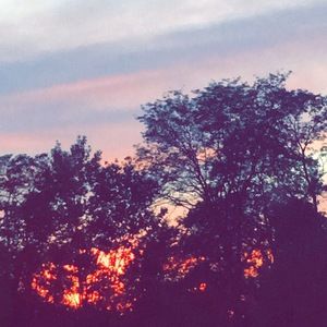 Meet your Posher, Aimee